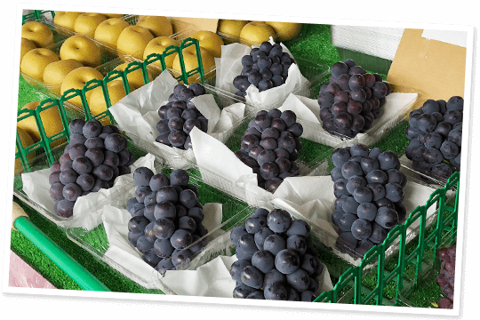 旬な果物 野菜 山菜の通販 さなげ青果